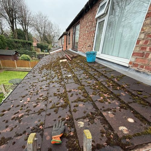 Before Roof Cleaning