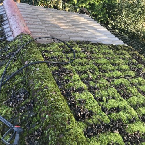 Roof Cleaning job